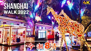 Video : China : ShangHai night walk in the new Fashion Street