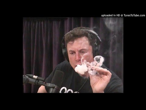 Gezzyboiii - Don CEO'