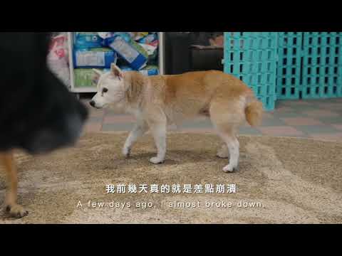 李亦軒《不完美告別》影片縮圖