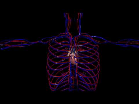 Salbutamol Nebuliser Solution