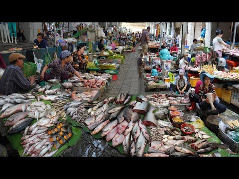 Morning Food Market Scene @Boeng Trabek - Plenty Fresh Rural Vegetable, River Fish & More In Market