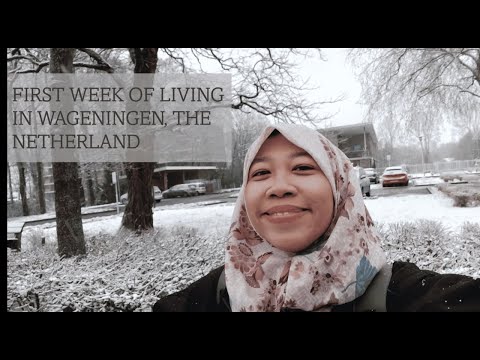 First Week of Living in Wageningen, The Netherland