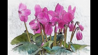 Infezioni ginecologiche virali: il ruolo protettivo del microbiota vulvo-vaginale