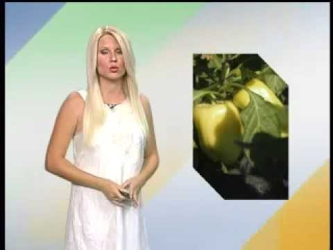 Zelena prognoza 24.7.2013.