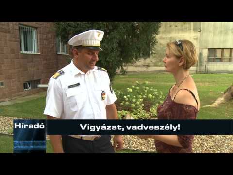 Híradó – 2017. augusztus 10.