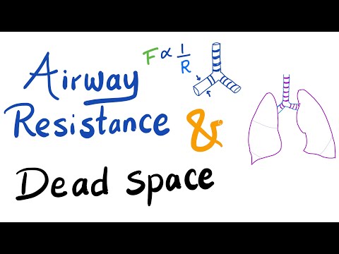 Airway Resistance & Dead Space | Respiratory Physiology