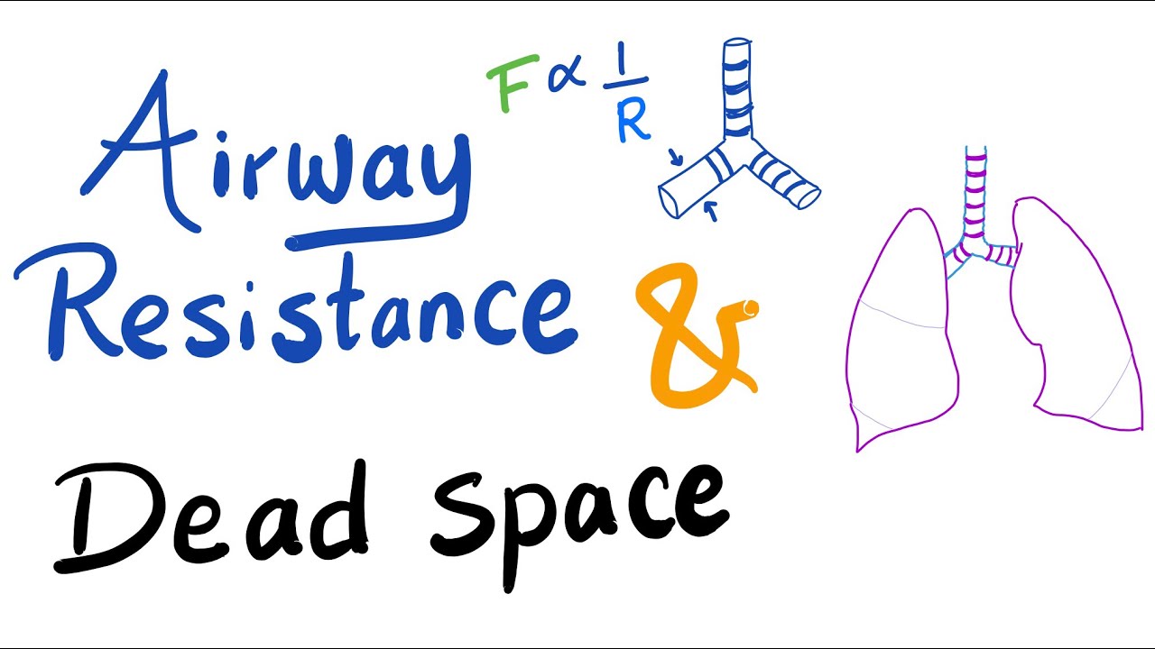 Airway Resistance & Dead Space | Respiratory Physiology