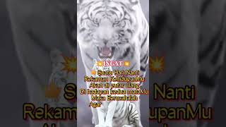 Download lagu story wa macan putih #macanputih #khodammacan #motivasikehidupan mp3 Download lagu story wa macan putih #macanputih #khodammacan #motivasikehidupan mp3