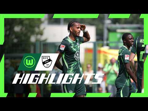 bg-highlight