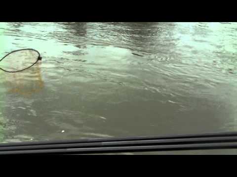 61st Coarse Angling World Championship - Berteyin Andy - Belgium