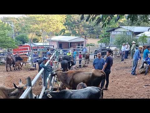 Osicala, Morazán Sur, viernes 05 de diciembre 2025