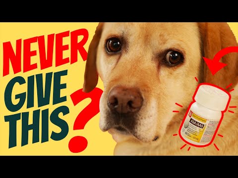 Aspirin for Dogs: is it safe?