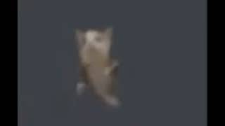 Cover art for one more time