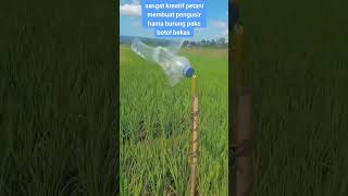 Download lagu Kreatif!!! Alat Pengusir Hama Petani #shorts mp3 Download lagu Kreatif!!! Alat Pengusir Hama Petani #shorts mp3