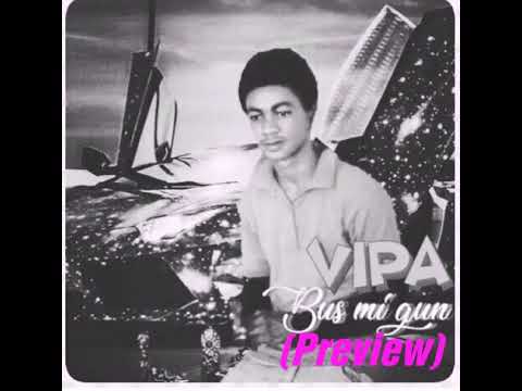 ViPA_Bus mi gun(preview)