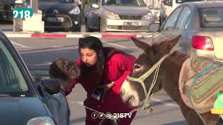 2019 5 الكاميرا الخفية الحلقة