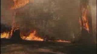 Nature Unleashed: Fire (2004) Video