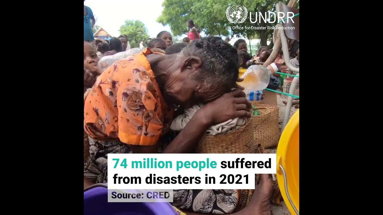 Disaster losses and statistics