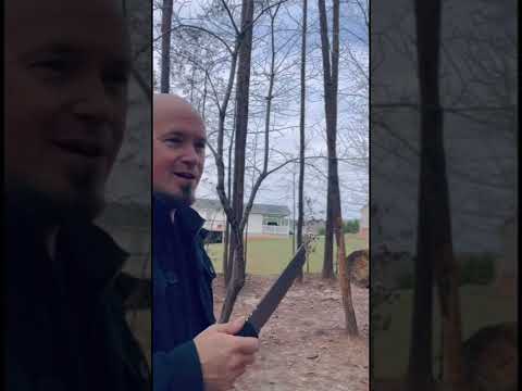 Cold Steel Warcraft Tanto