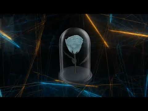 Анимация иллюстраций