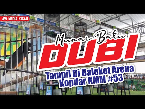 MURAI BATU DUBI TAMPIL DI KOPDAR KMM #53 BALEKOTA ARENA