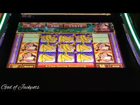 Full screen on the Wild Monkeys slot/big wins/Empire city casino[God of Jackpots]