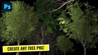 How to Create Tree PNGs in Photoshop (All Types)
