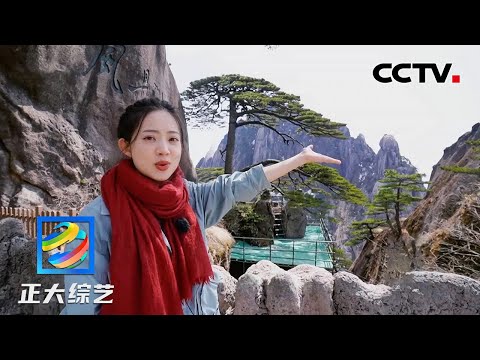 迎客松寓意