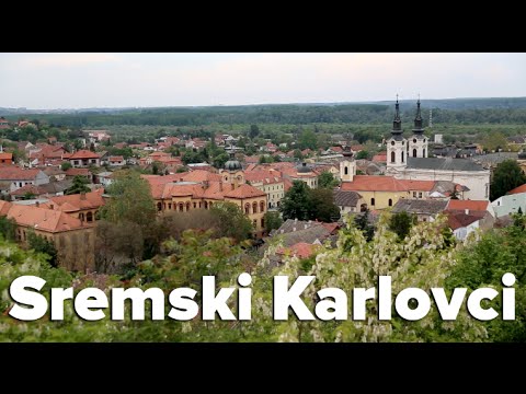 The Wine Town of Sremski Karlovci, Serbia