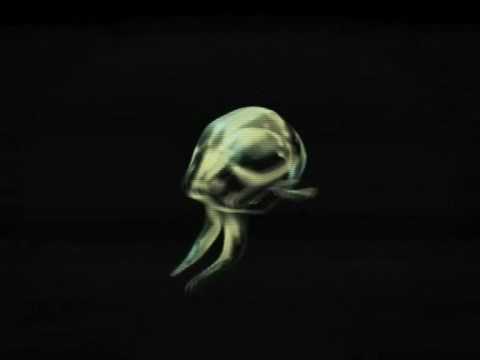 Ladin.R - feat. Amon Tobin - Jelly