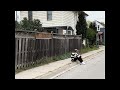 Ollie Not Always Perfect