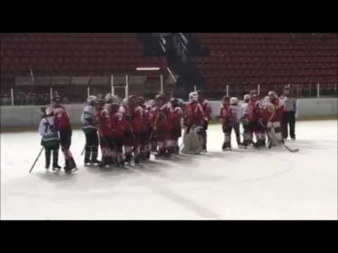 U-14 DP 17.12.2016 SKHL Crvena Zvezda - HK Olimpija 1:4