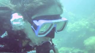 preview picture of video 'Discover Scuba Diving in Coron'