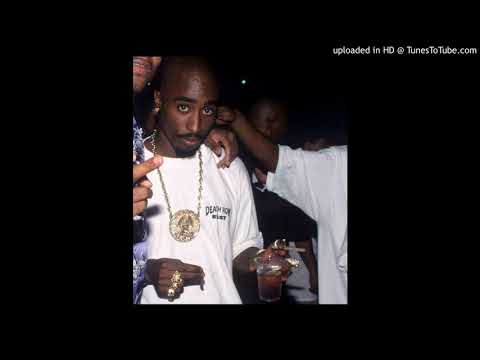 martwy seba - blabla