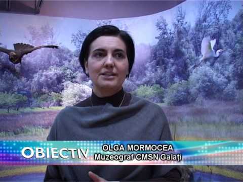 22.02.2017 / Știre Etv - ARII PROTEJATE DIN JUDEŢUL GALAŢI!