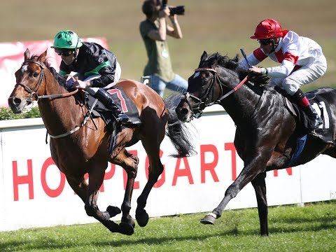 Berlin-Hoppegarten: Comer Group International 47.  Oleander Rennen (Gr. II) - Sieger: Sound Check