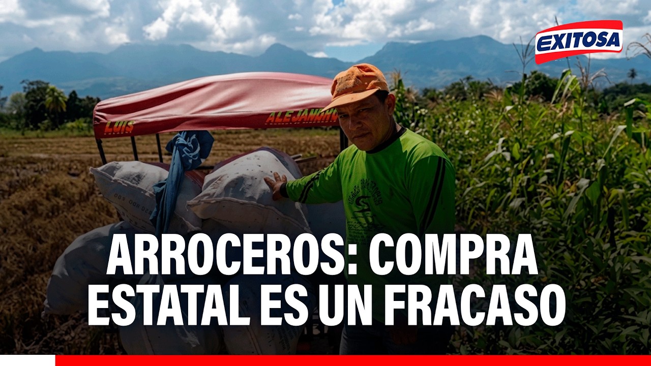 🔴🔵Arroceros manifiestan que al no existir planificación del Gobierno sigue la sobreproducción