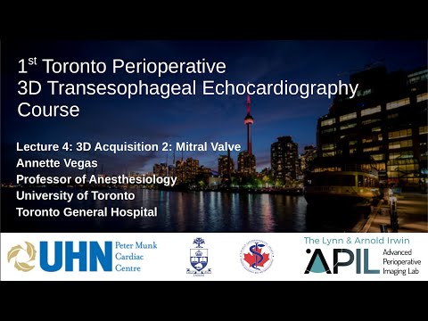 4  Vegas - 2019 - 3D Acquisition:  MV. Toronto Perioperative 3D TEE Course 2019