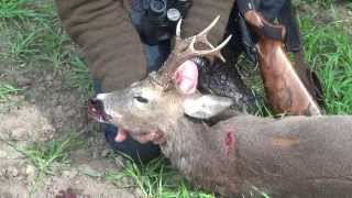 jagt på Danske Råbukke part 1 /Roe deer hunting www.jagtoglystfiskerhuset.dk