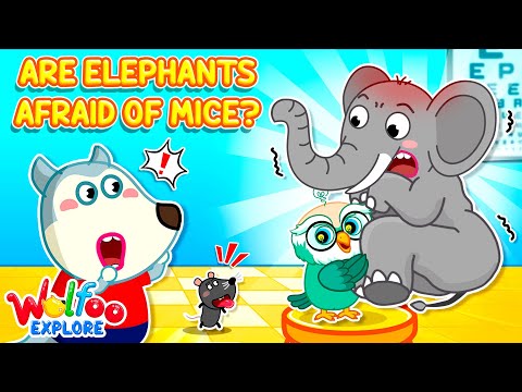 Why Are Elephants Afraid of Mice?! 🐘 🐭 Wolfoo Explore - Animals 🔍 Educational Videos for Kids