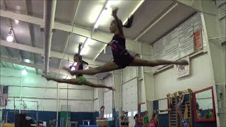 GYMNASTICS "All You Need Is A Dream," by Melody Williamson-Written by Coach Donna Hughes