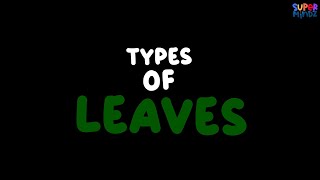 Types of Leaves🌱 | Simple Leaves, Compound Leaves, and more | Science for Kids | SuperMindz
