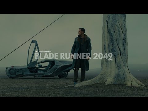 Beauty Of Blade Runner | Amazing Shots Of Blade Runner 2049