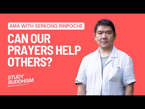 Can Our Prayers Really Help Others? | AMA with Serkong Rinpoche