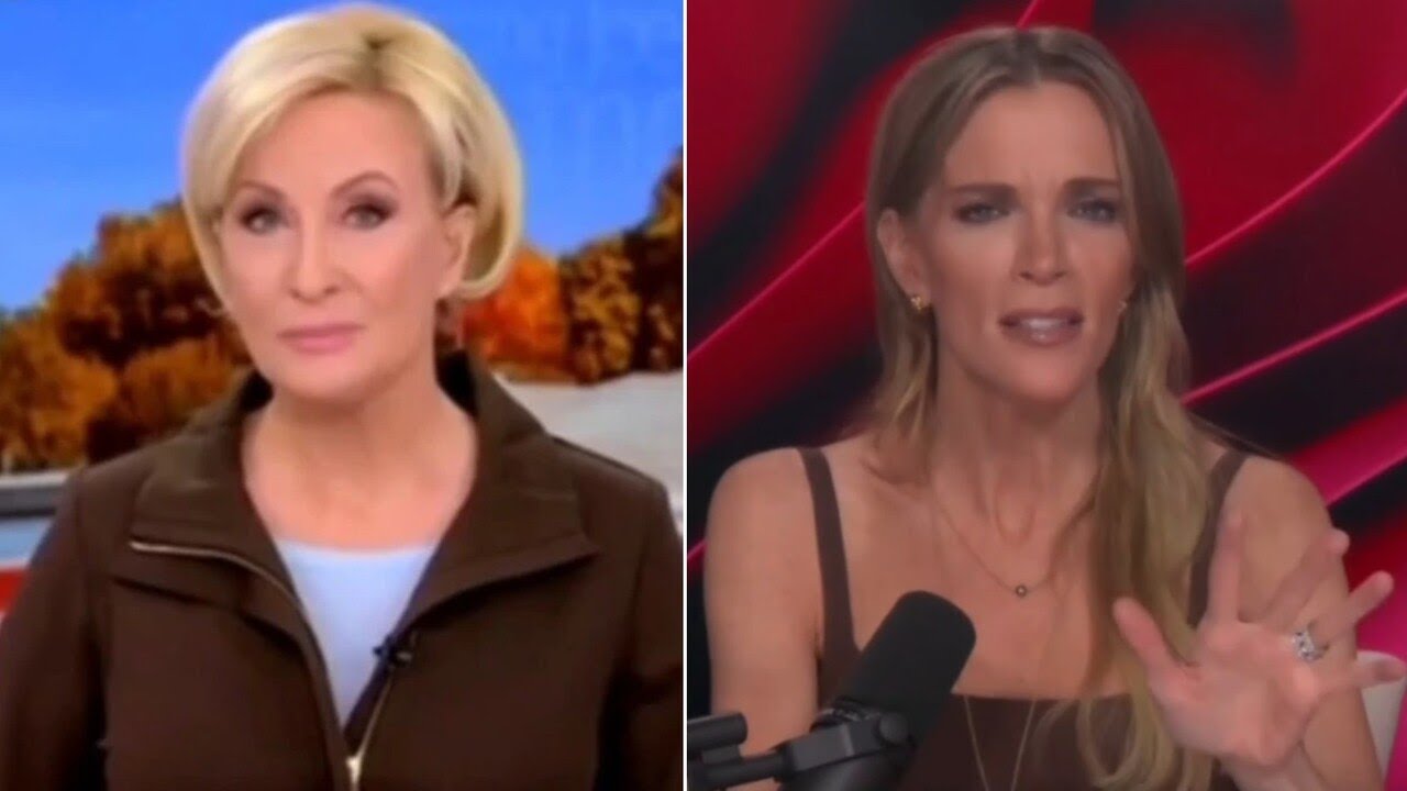 ‘She’s a dope’: Megyn Kelly blasts MSNBC host