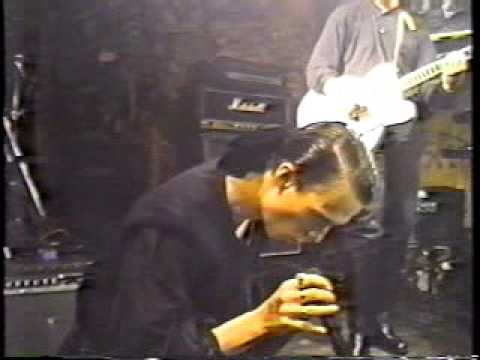 Shamefaces - Haunted Annie