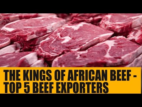 The Kings of African Beef - Top 5 Beef Exporting Countries