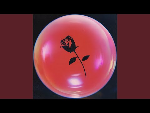 I Will Survive - High Tropics