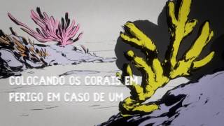 Miniatura do vídeo