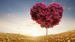 Emotion in Motion - Lyrics